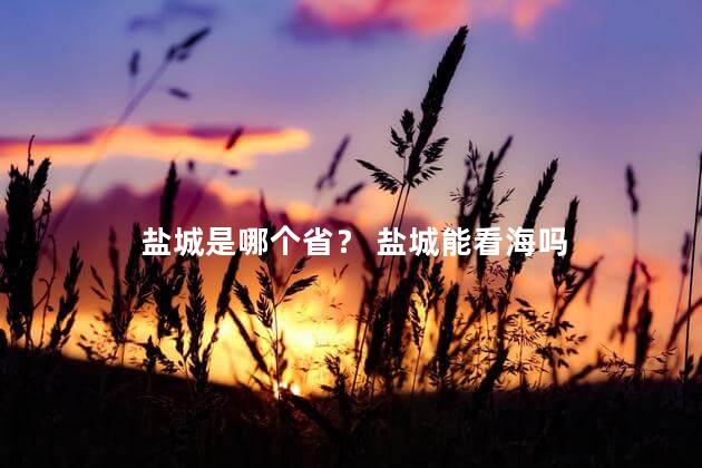 盐城是哪个省？ 盐城能看海吗